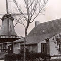 SB-00009 | Korenmolen 
