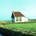 ONB-00002 | Wijnaldum