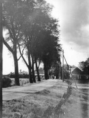 WIJ-00173 Wijnaldum