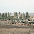 SD-00003 Statenhoofd 1993